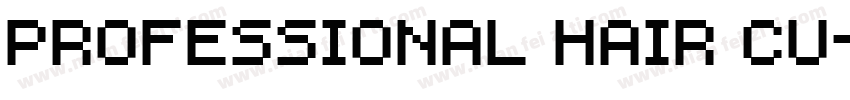 professional hair cu字体转换